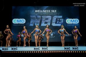 WELLNESS 163